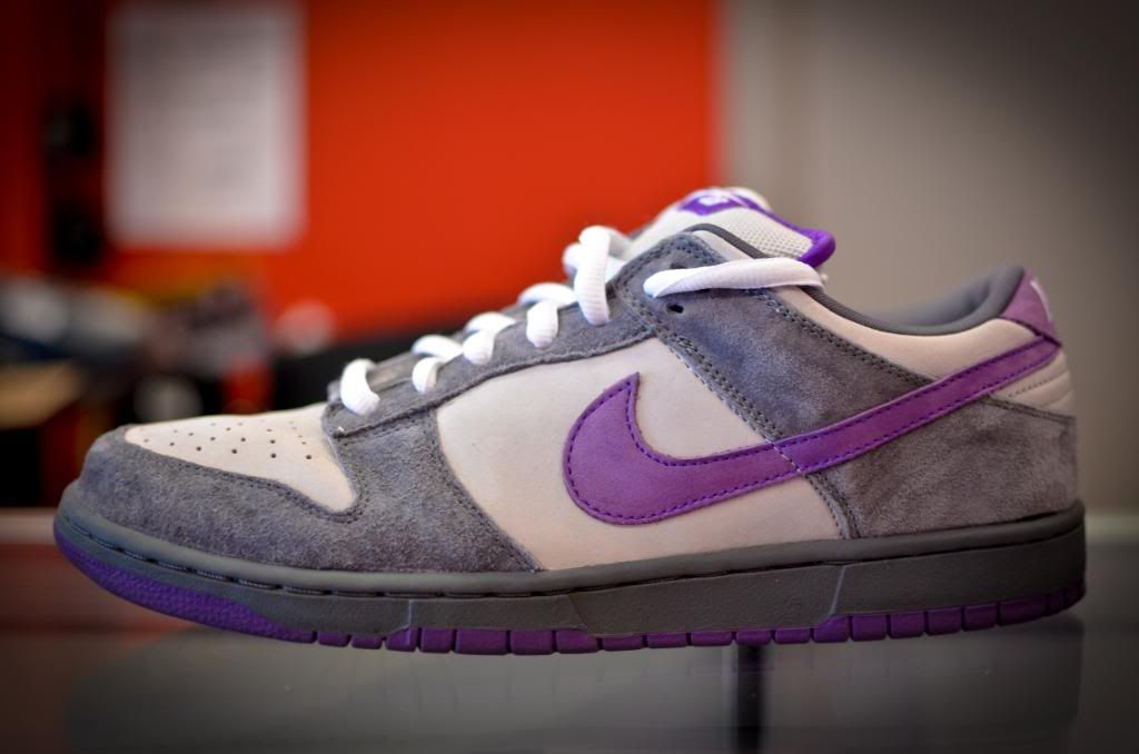 Nike Purple Pigeon