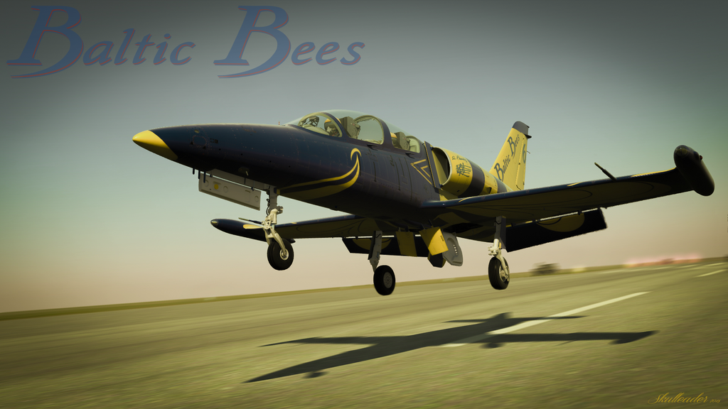 L-39%20Baltic%20Bees%2002.png~original
