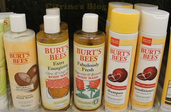 Burts bees body wash shampoo