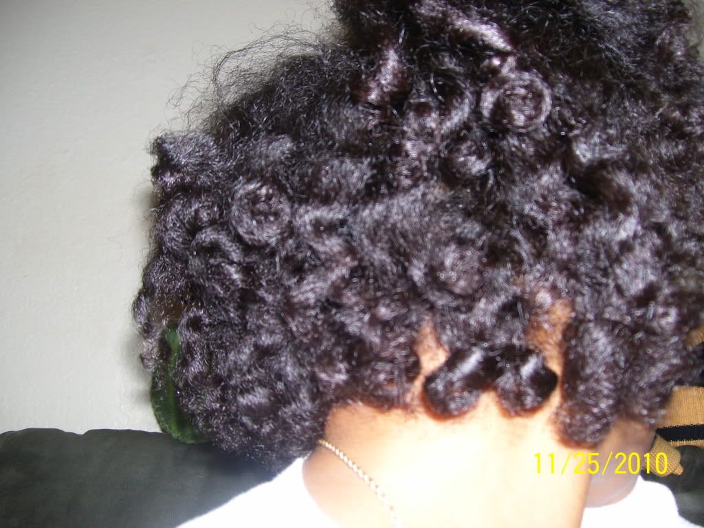 Poodle Perm Videos Photobucket