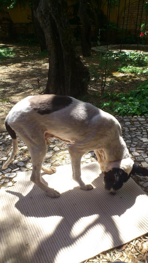 Imagem
