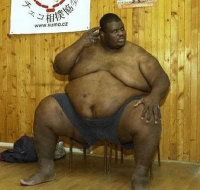 largest sumo