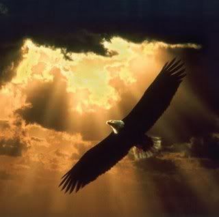 Isaiah,God,Eagles