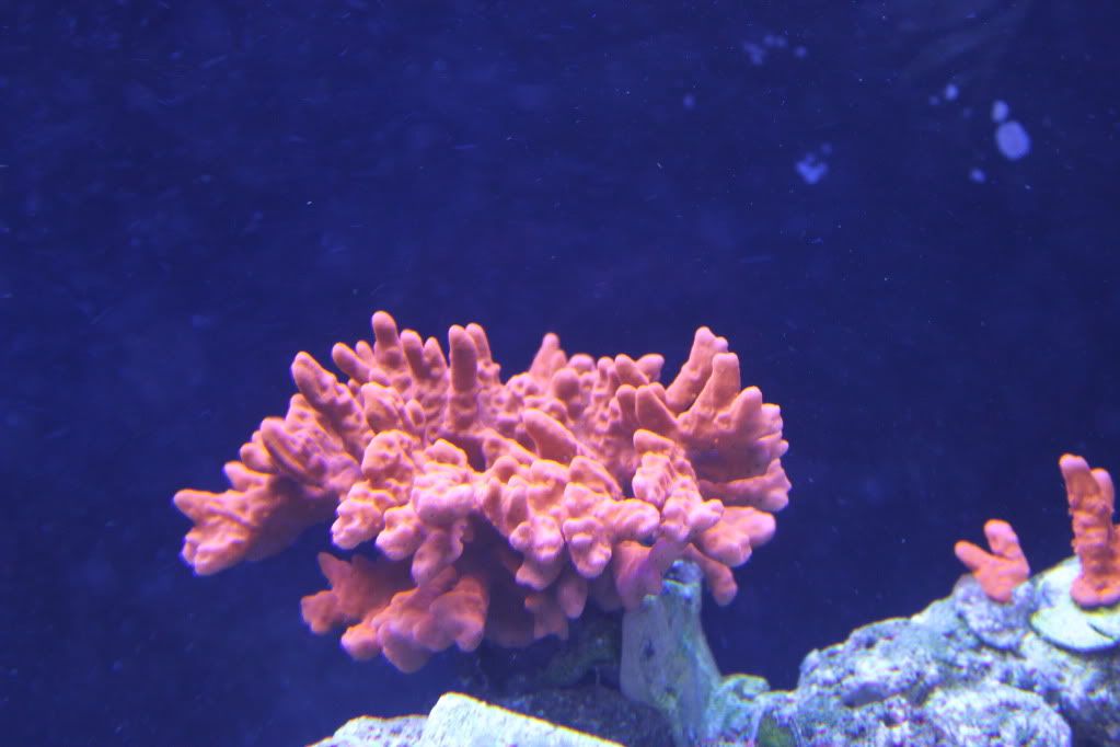 mynews057.jpg