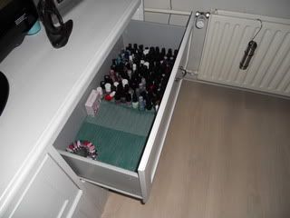 DSCN0015.jpg