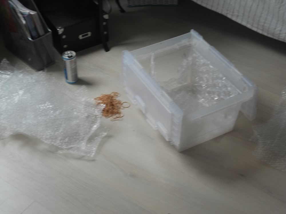 DSCN1117.jpg