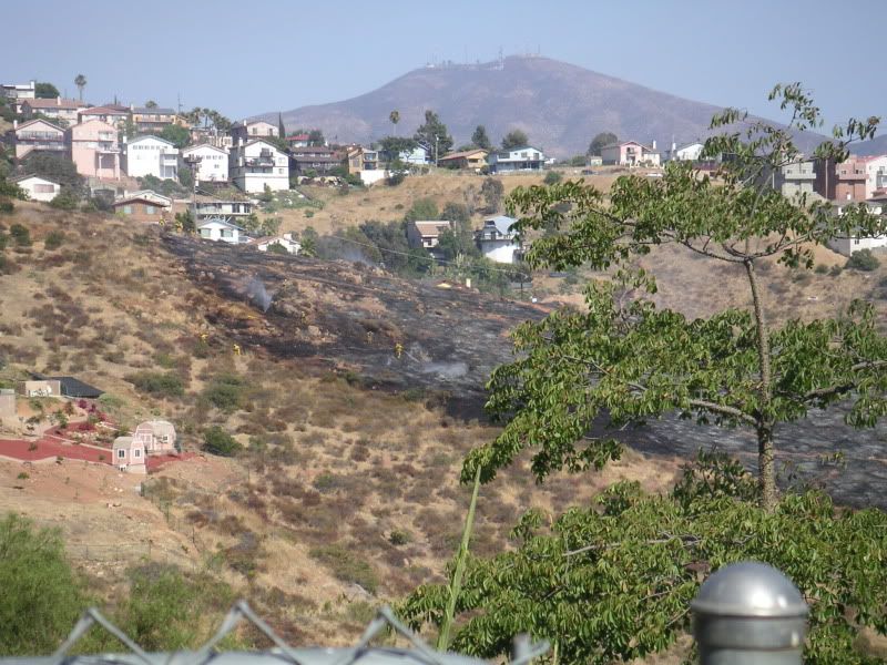 Fire-001.jpg