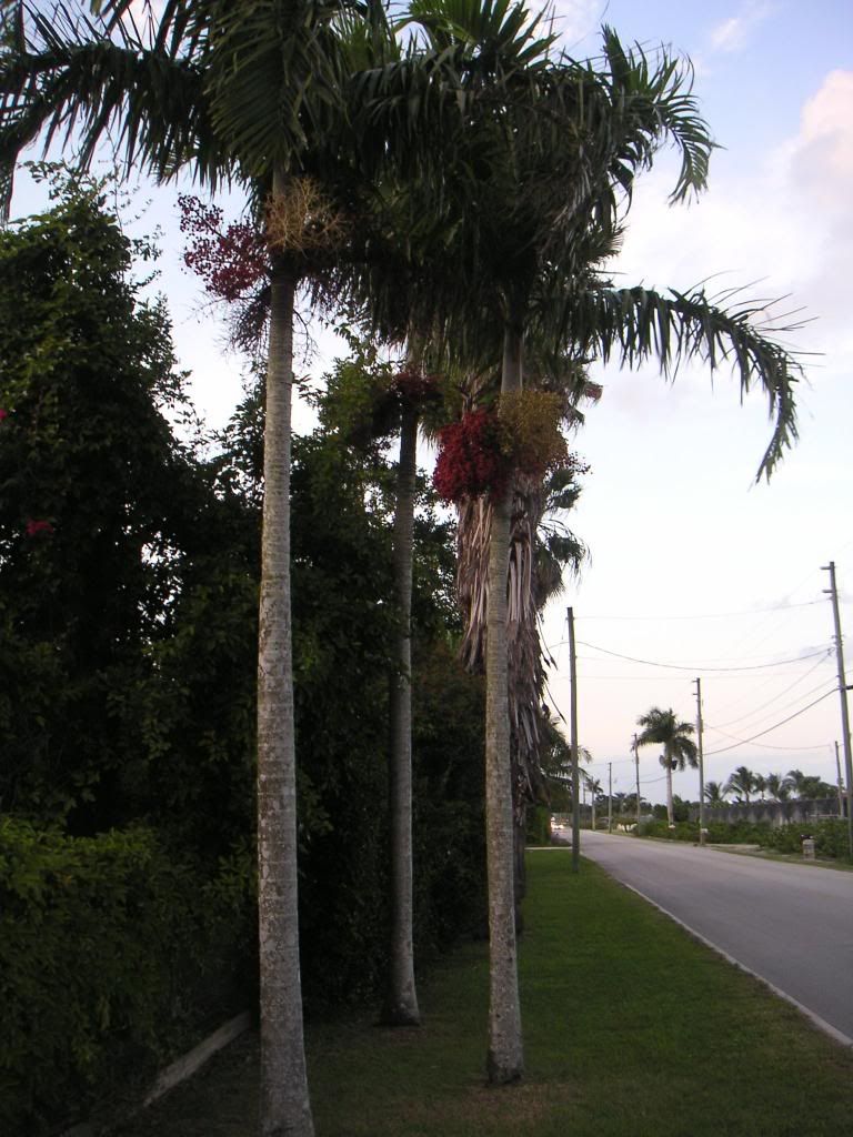 Florida-102.jpg