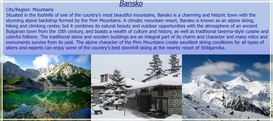 Bansko web