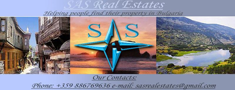 Sas logo new