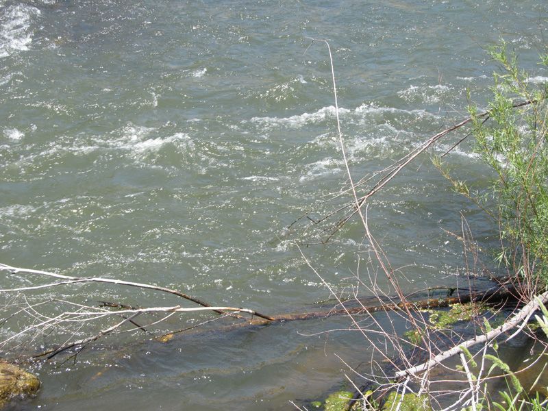 Isabella CA River Gold Mine Kern County Placer Mining Claim Pan Sluice High Bank