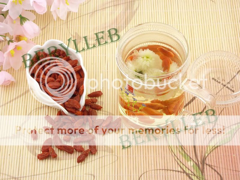 Fresh Superfine Goji Chinese Wolfberry 100g  