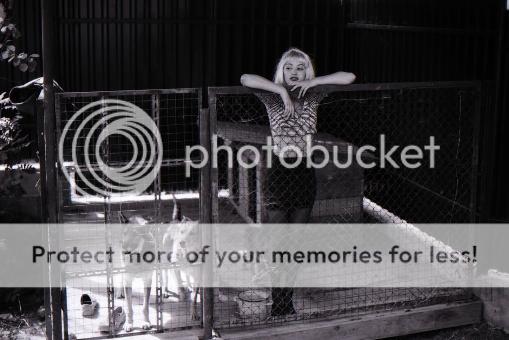 Photobucket